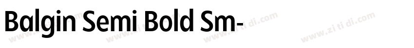 Balgin Semi Bold Sm字体转换